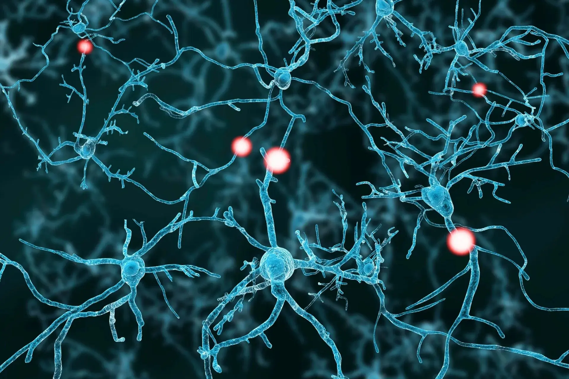 Neurons with glowing synapses