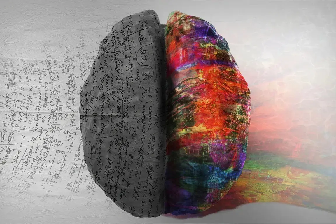 Brain showing creativity and logic contrast