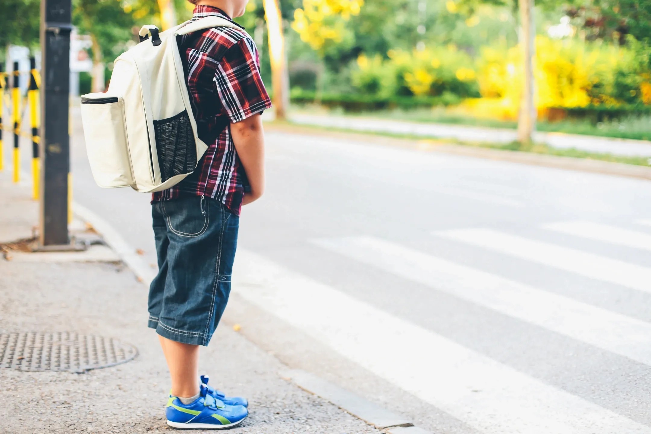 Kid standing by pedestrian crossing